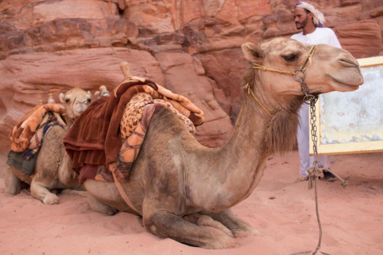 Отель Bedouins Life Camp Акаба Экстерьер фото