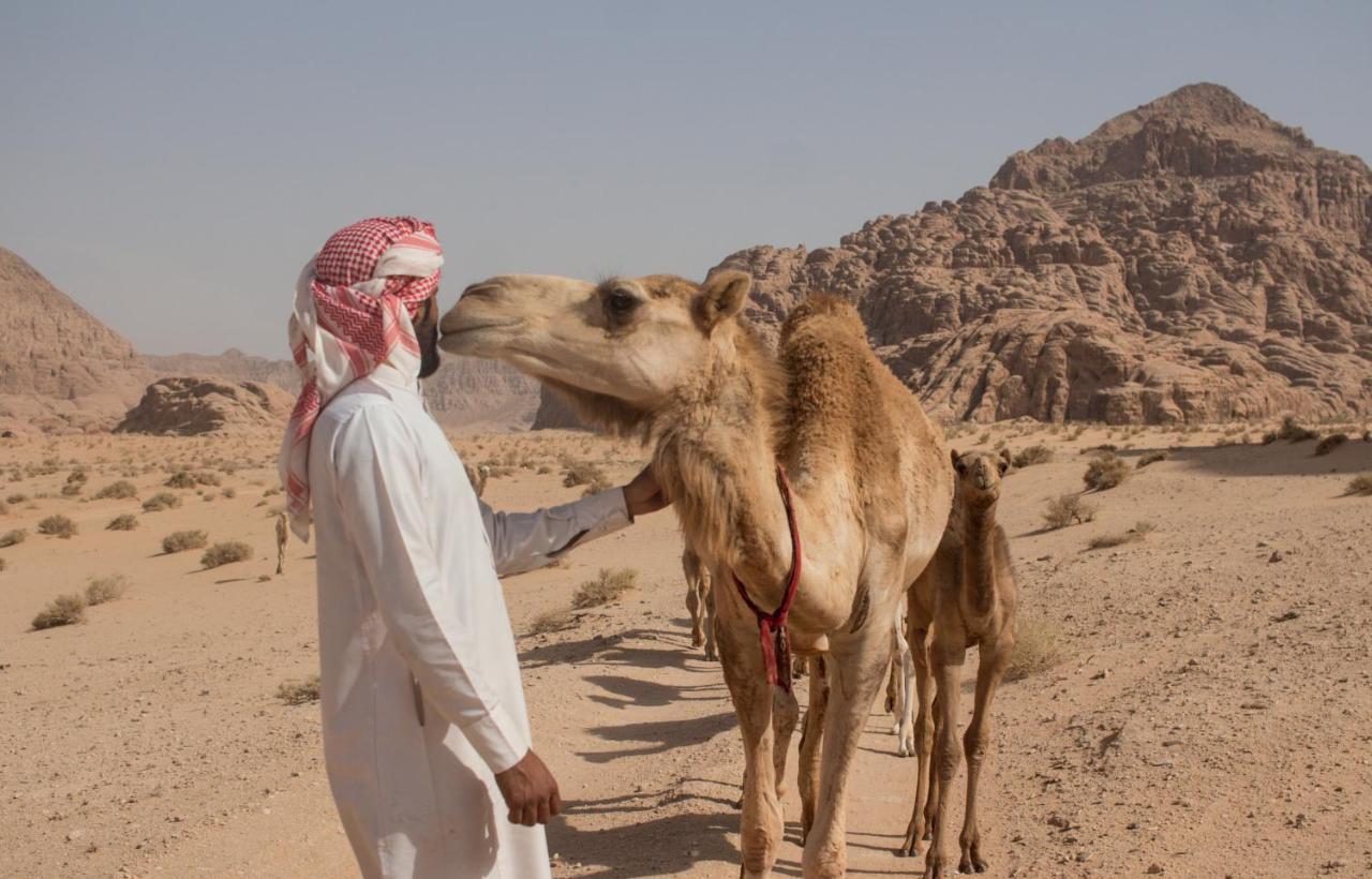Отель Bedouins Life Camp Акаба Экстерьер фото