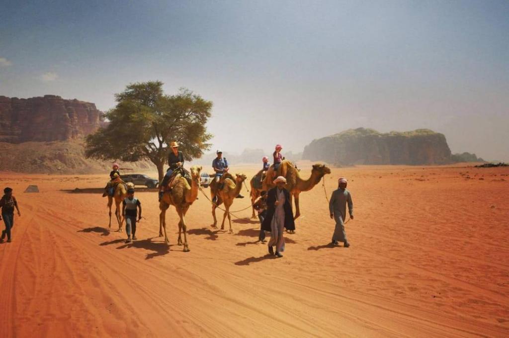 Отель Bedouins Life Camp Акаба Экстерьер фото
